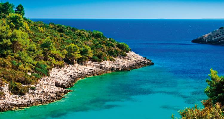 Crique cristalline avec une eau turquoise et une végétation luxuriante.