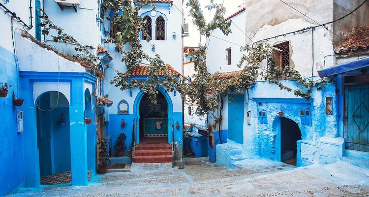 Callejón estrecho de casas azul intenso y puertas arqueadas adornadas con enredaderas en Chefchaouen.
