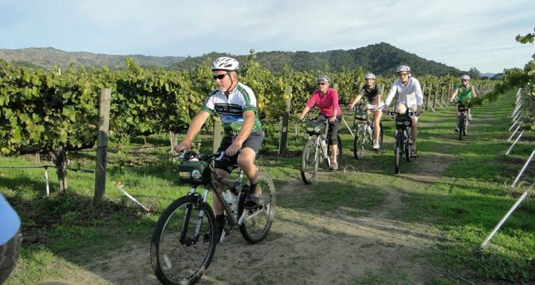 Fietsers rijden langs een zandpad tussen rijen wijnstokken in een zonnig wijngaard omgeven door glooiende heuvels.