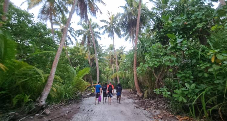 Group of travelers walk along a sandy jungle trail lined with tall palm trees on a tropical island.