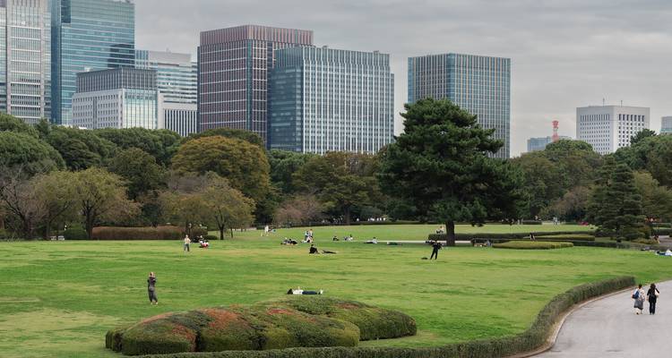 Green city park with modern skyscrapers in the background.