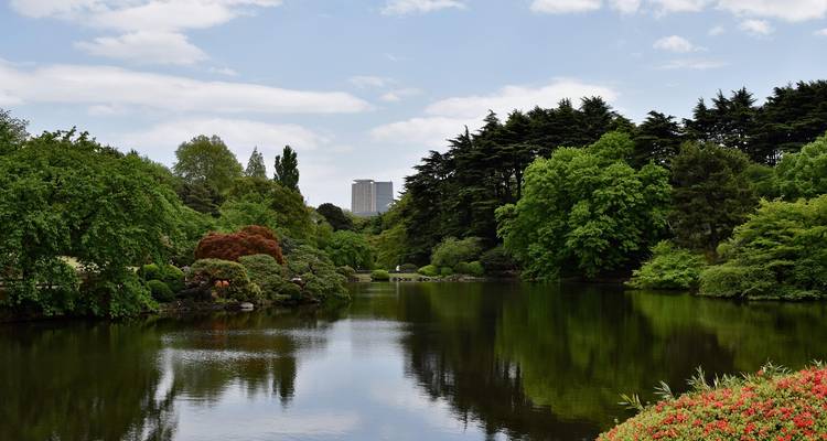 Scenic park with a pond and tall buildings peeking through trees.
