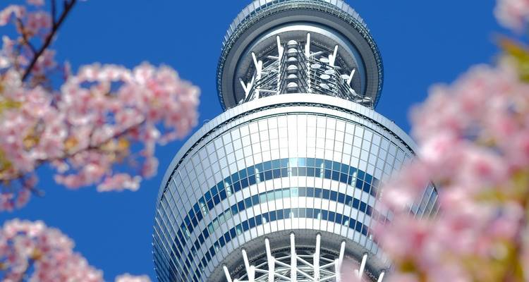 Close-up view of a modern tower with cherry blossoms.