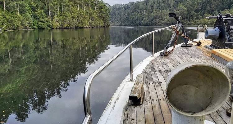 Une vue pittoresque de la rivière depuis un bateau avec une végétation luxuriante des deux côtés.