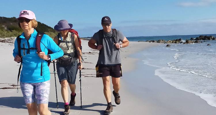 Trois randonneurs expérimentés marchent d'un pas assuré sur le sable mouillé près du rivage