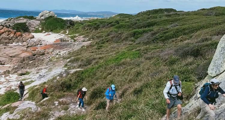 Les randonneurs traversent une lande côtière herbeuse avec des vagues qui s'écrasent en contrebas.