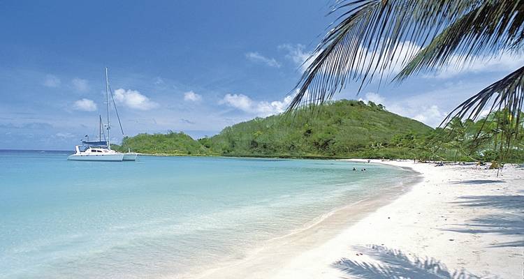 White sandy beach with lush greenery and a sailboat.