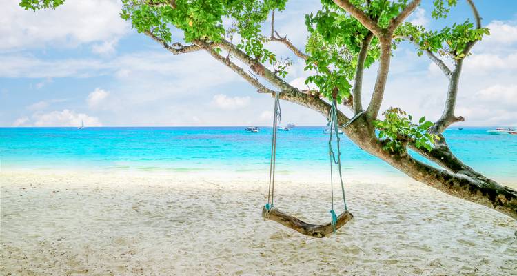 A serene beach scene with a tree swing overlooking clear blue waters and sandy beach.
