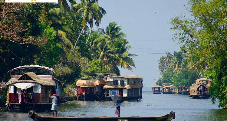 People and houseboats on a waterway lined with palm trees.