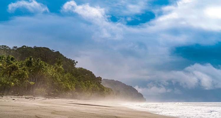 Nebliger Strand mit Palmen und brechenden Wellen.