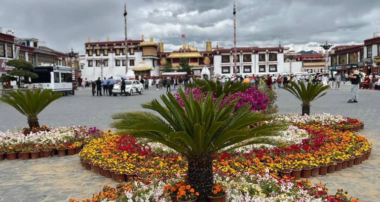 Flower arrangements in a plaza with decorated architecture in the background.