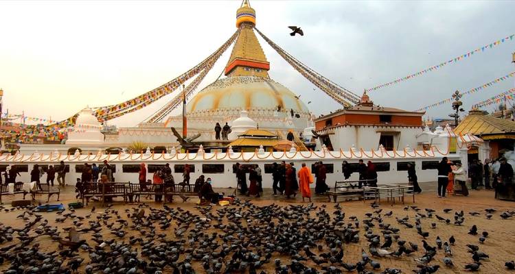 People visiting a large stupa with pigeons in the plaza.