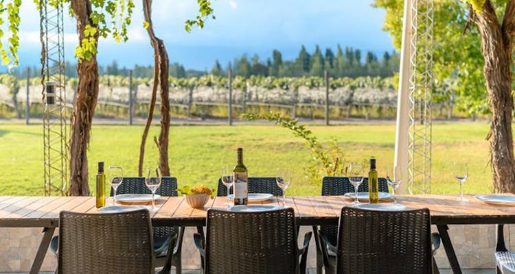 Espace de restauration extérieur avec vue sur le vignoble et verrerie.