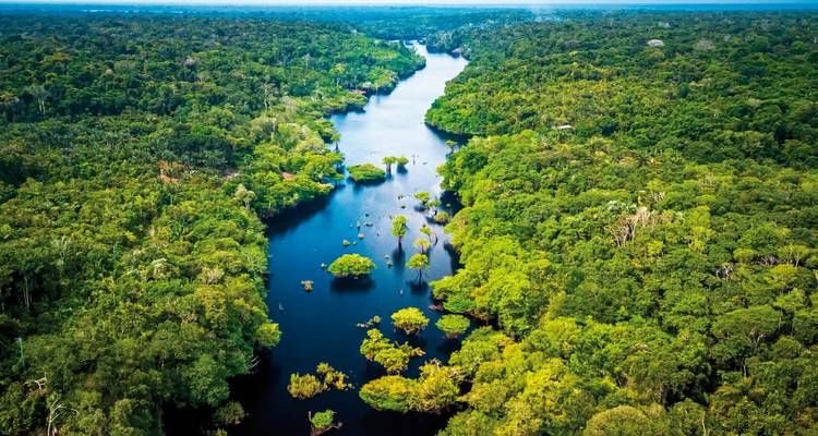Vista aérea de un río serpenteando a través de una exuberante selva tropical verde.