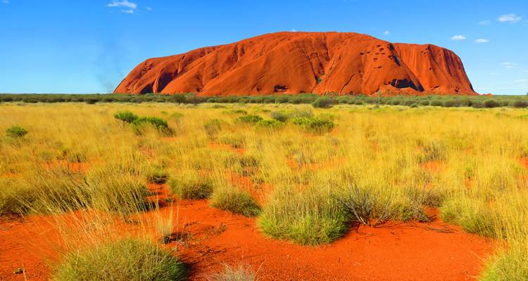 Iconische rode rotsformatie bij Uluru omringd door grasland.
