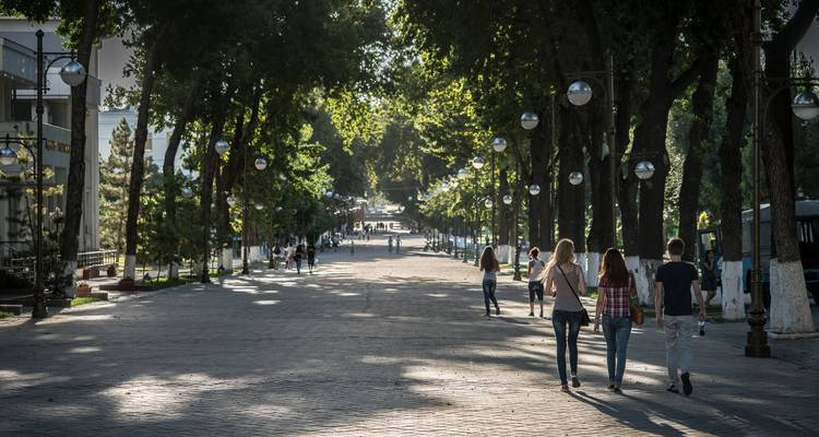 Shaded, tree-lined boulevard in a city park with several people walking along the wide paved path.