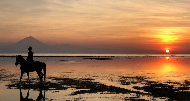 Silhouette of a horseback rider on a reflective beach at dramatic sunset with a volcano on the horizon.