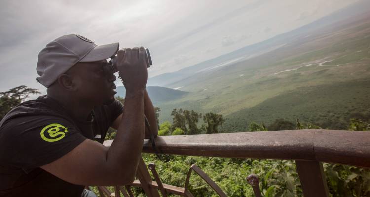 Person observing a vast landscape from a viewpoint with binoculars.