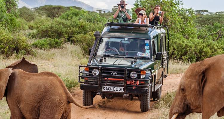 Safari vehicle with tourists surrounded by elephants on a dirt track.
