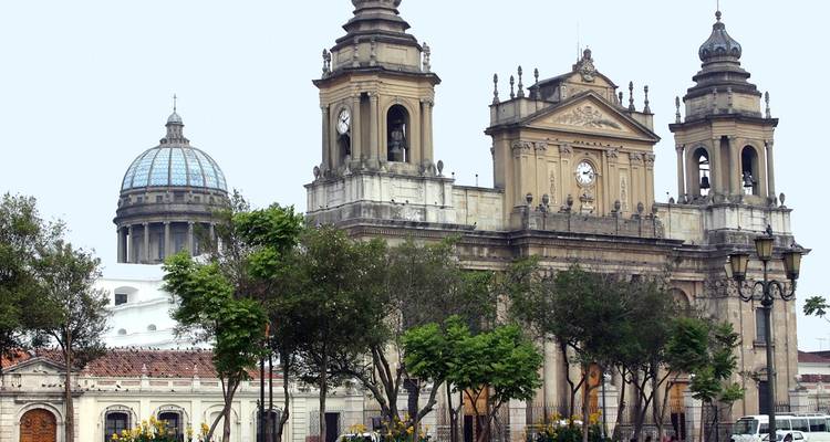 Catedral Metropolitana Neoclásica con dos torres campanario gemelas y cúpula que se eleva sobre los árboles en la Ciudad de Guatemala.