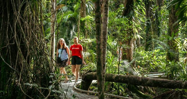 Deux femmes marchant sur un sentier en bois à travers une forêt dense et verte.