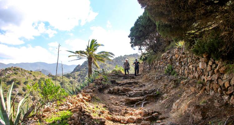 Dos senderistas suben por un sendero rocoso bordeado de palmeras con cadenas montañosas a lo lejos.