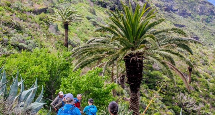 Un pequeño grupo de senderismo se abre paso entre la exuberante vegetación verde del cañón, dominada por altas palmeras.