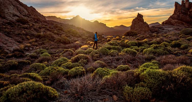 At fiery sunset a hiker stands amid low volcanic scrub in Teide National Park with glowing ridges beyond.