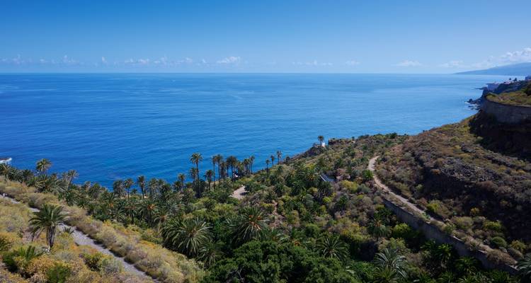 A tranquil aerial view of endless blue Atlantic waters meeting a palm-covered coastal hillside.