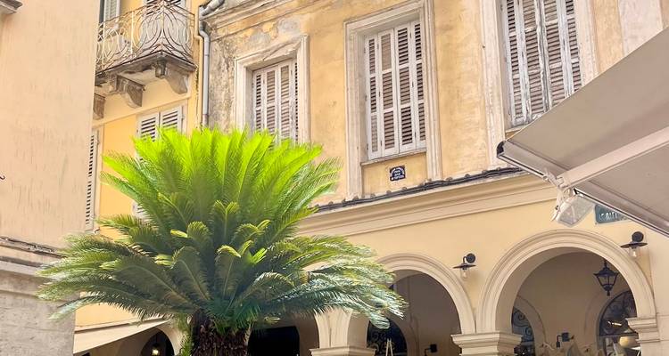 Palme und alte Gebäudefassade mit Fensterläden.