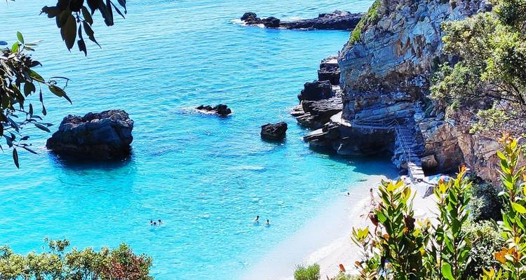 Las aguas turquesas se encuentran con una costa rocosa y boscosa.