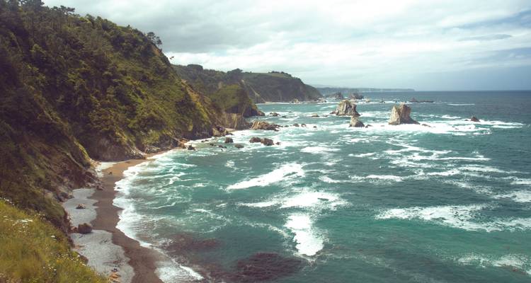 Vue panoramique d'une côte rocheuse avec des vagues qui frappent le rivage.