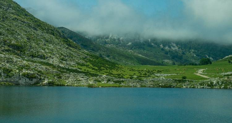 Lac brumeux avec des montagnes en arrière-plan.