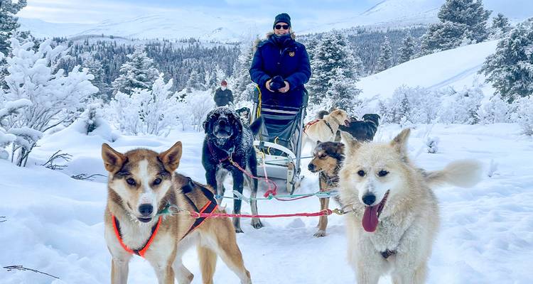 A musher drives a lively sled-dog team through a snowy Yukon landscape.