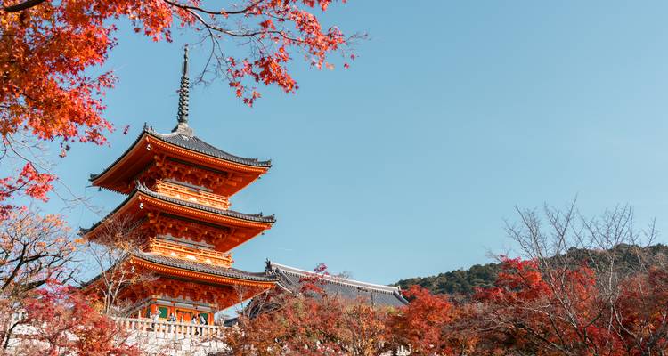 Traditional pagoda with autumn leaves in Kyoto.