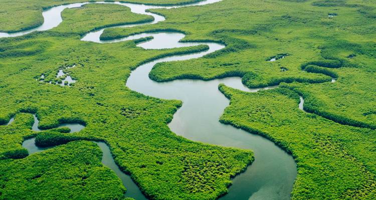 Aerial view of a winding green river snaking through dense Amazon rainforest wetlands.