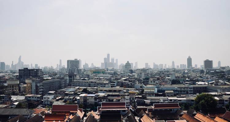 Stadshorizon met stedelijke gebouwen.