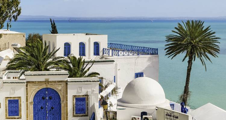 Traditional white and blue Tunisian buildings by the sea with palm trees.