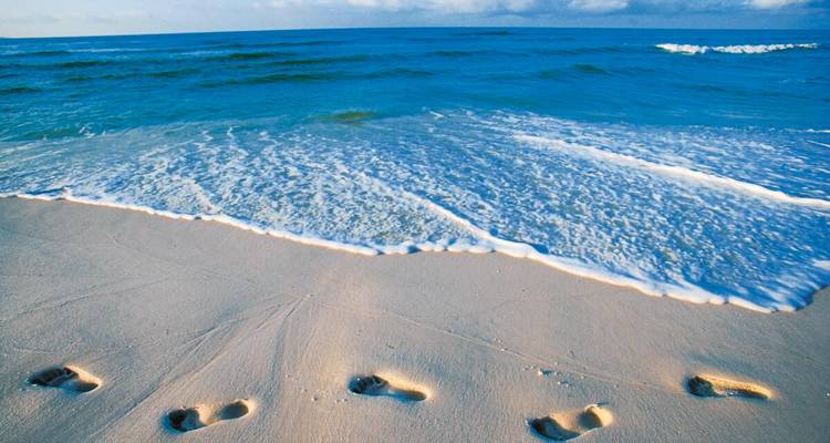 Des empreintes fraîches menant vers les vagues douces sur un rivage de sable tranquille.