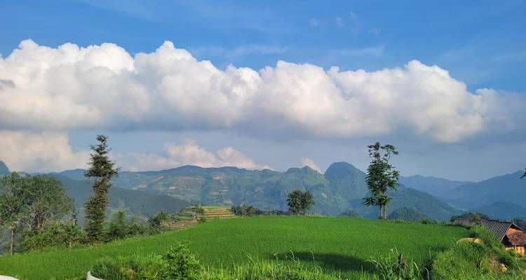Vast green rice fields and distant mountain ridges beneath fluffy white clouds in northern Vietnam.