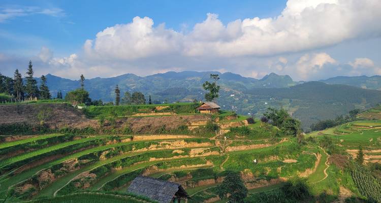 Terraced rice paddies cascade down hillsides toward distant mountains under a bright blue sky.