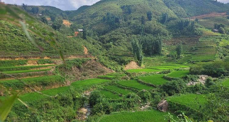 Lush green valley with layered rice terraces, bamboo groves and a winding stream.