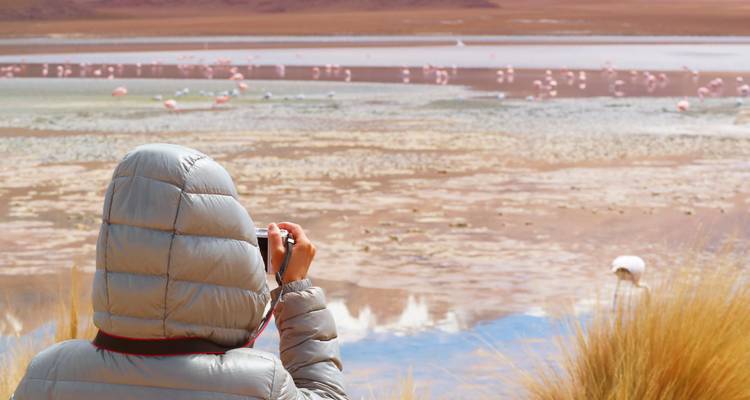 Reiziger in een dik jack fotografeert flamingo's in de verte die voeren aan de kleurrijke lagoeneoever.