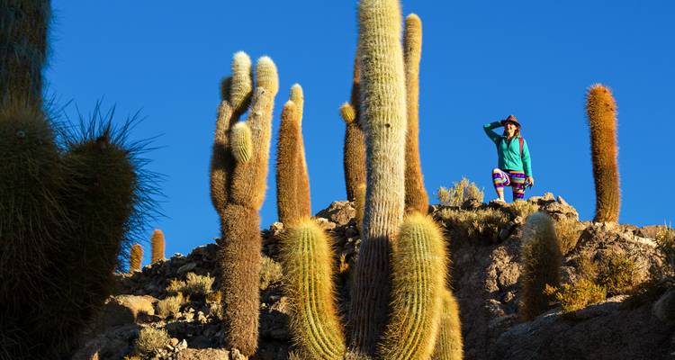 Een bezoeker staat tussen torenhoge cactussen op een rotsachtig eiland tegen een diepblauwe hemel in het Uyuni-zoutvlak.