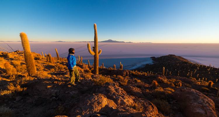 Een man kijkt uit over het met cactussen bezaaide Isla Incahuasi bij zonsopgang, met het enorme paarse Uyuni-zoutvlakte daarachter.
