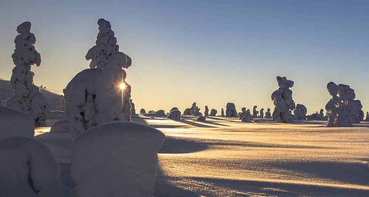 Sonnenuntergang über einer schneebedeckten Landschaft mit silhouettierten Bäumen und Schneeformationen.