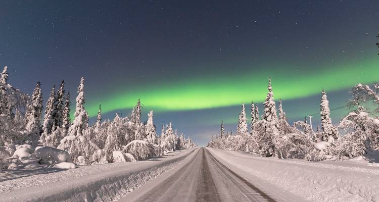 Nordlicht, das sich über eine schneebedeckte Straße mit Wald auf beiden Seiten erstreckt.