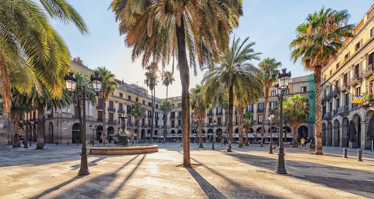 Place publique avec palmiers et bâtiments historiques.
