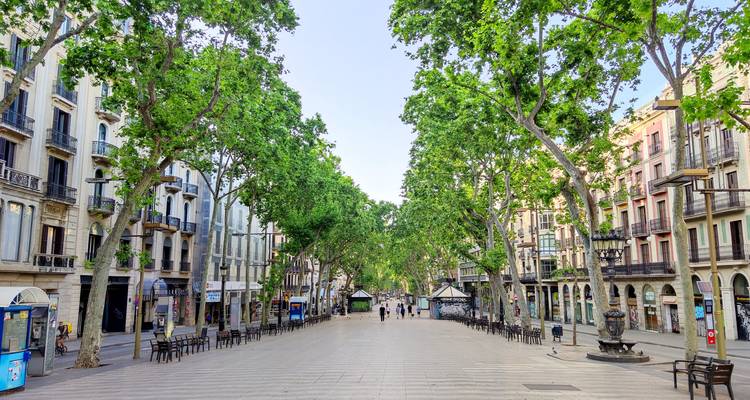 Une large promenade bordée d'arbres et de bâtiments historiques.