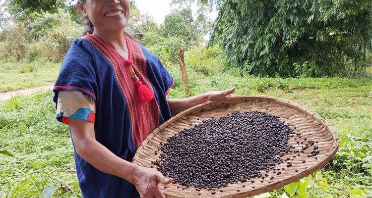 Glimlachende lokale vrouw in traditionele kleding houdt een geweven dienblad vast vol met vers geoogste zwarte bonen.